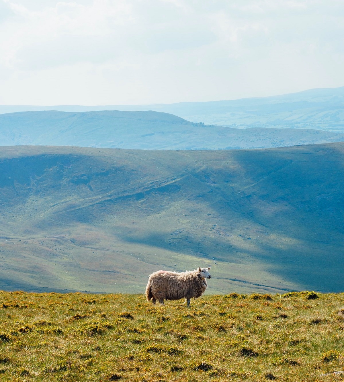 Brecon Beacons National Park, Wales